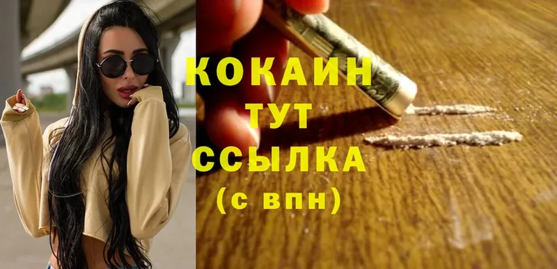 Кокаин FishScale  магазин    Новосибирск 