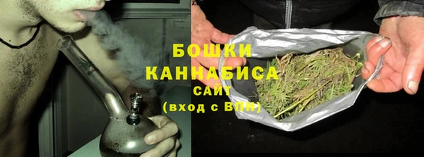 гашик Видное