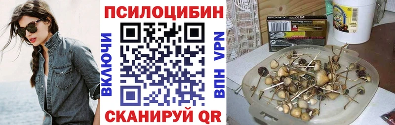 цены   Новосибирск  Псилоцибиновые грибы MAGIC MUSHROOMS 