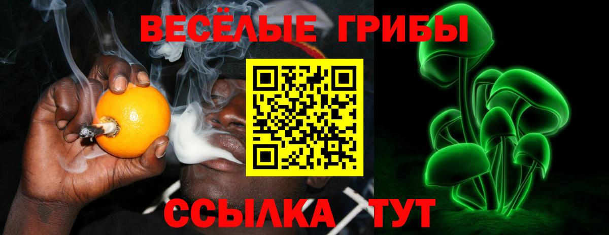 Галлюциногенные грибы Psilocybine cubensis  Вход с VPN  Новосибирск  Галлюциногенные грибы мухоморы 